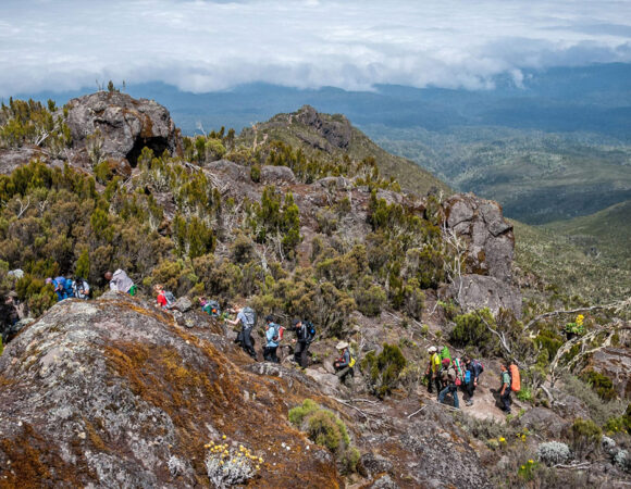 8 Days Lemosho Route